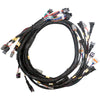 Replacement Base Harness GM LS GEN3/4